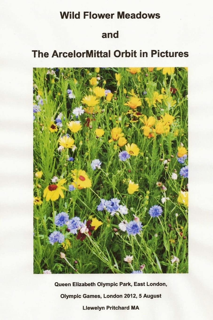 Wild Flower Meadows and the Arcelormittal Orbit in Pictures baixar livro de graça