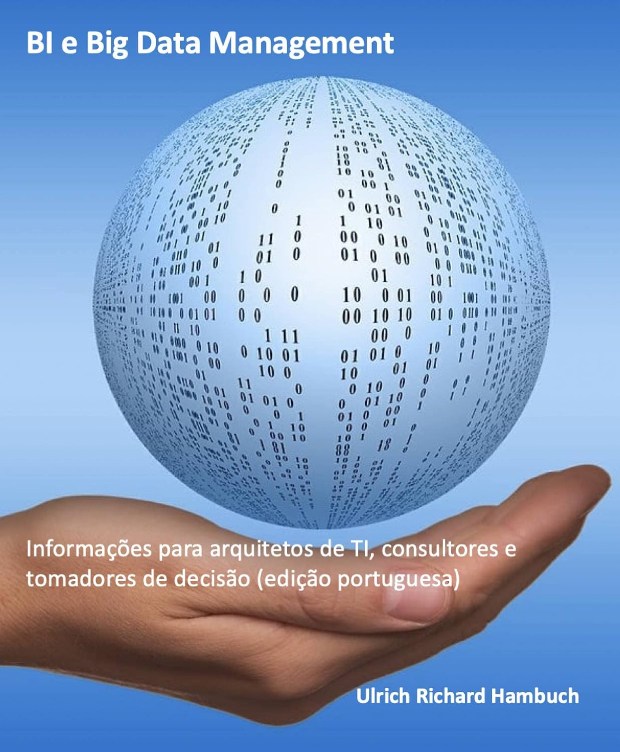 BI e Big Data Management: Informações para arquitetos de TI, consultores e tomadores de decisão