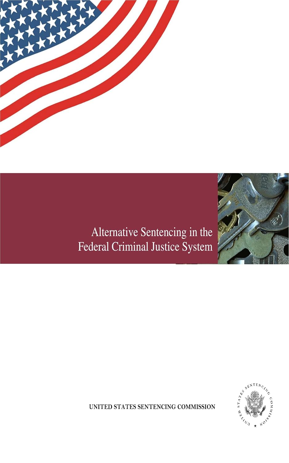 Alternatives to Sentencing in the Federal Criminal Justice System: May 2015. (English Edition)
