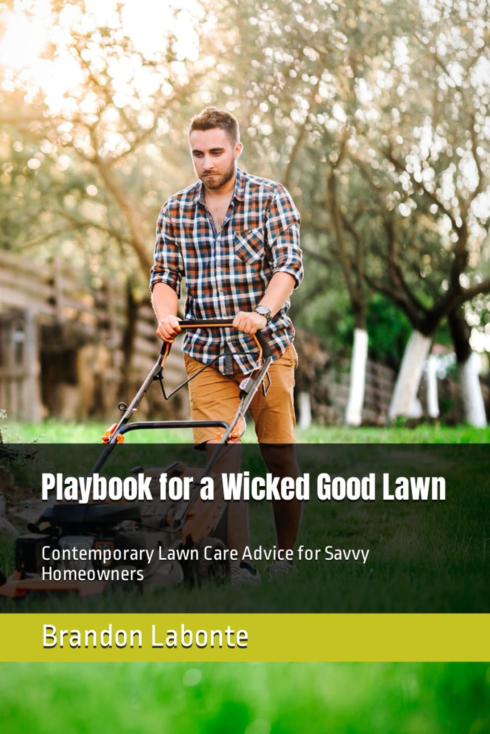 Playbook for a Wicked Good Lawn: Contemporary Lawn Care Advice for Savvy Homeowners baixar o livro de graça