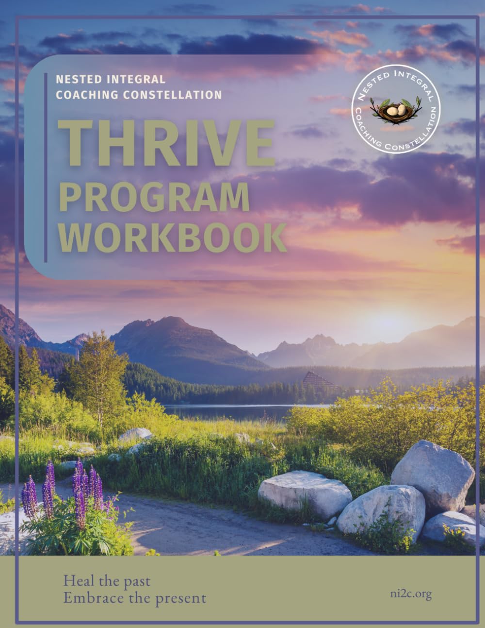 capítulo por capítulo baixar THRIVE Program Workbook