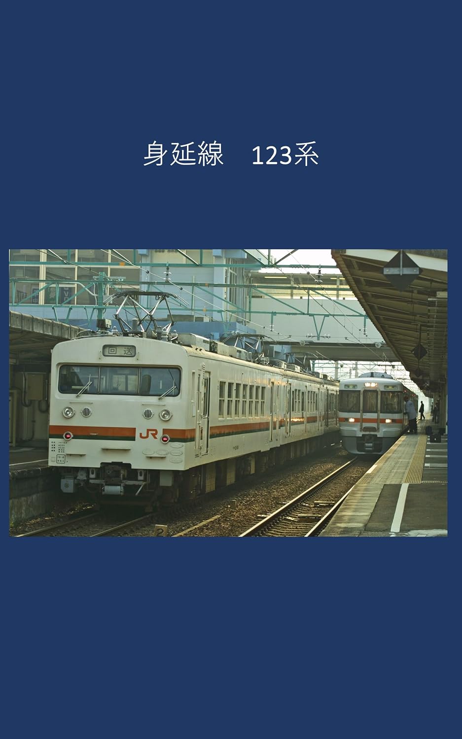 Minobu Line 123 series (Japanese Edition) baixar o livro de graça
