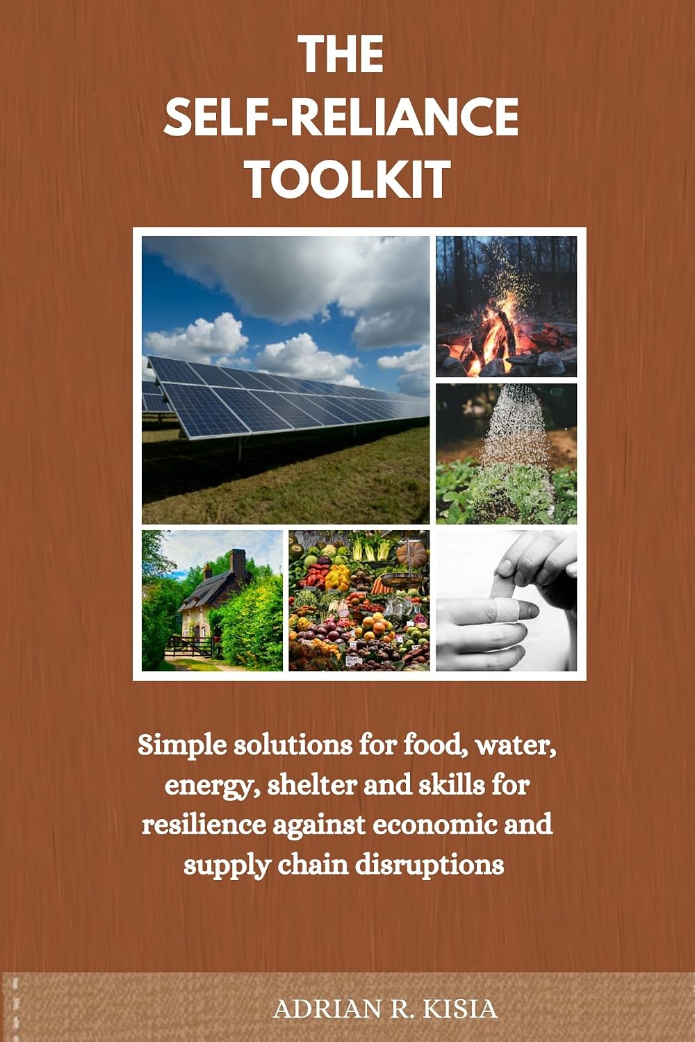 THE SELF-RELIANCE TOOLKIT: Simple solutions for food, water, energy, shelter and skills for resilience against economic and supply chain disruptions (English Edition) baixar livro de graça
