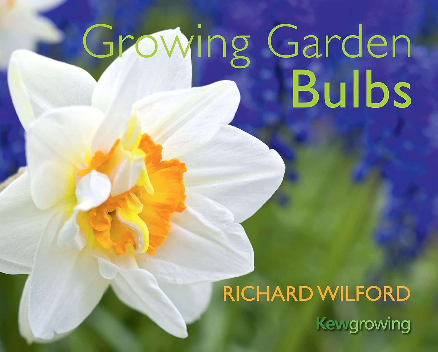 ler totalmente Growing Garden Bulbs