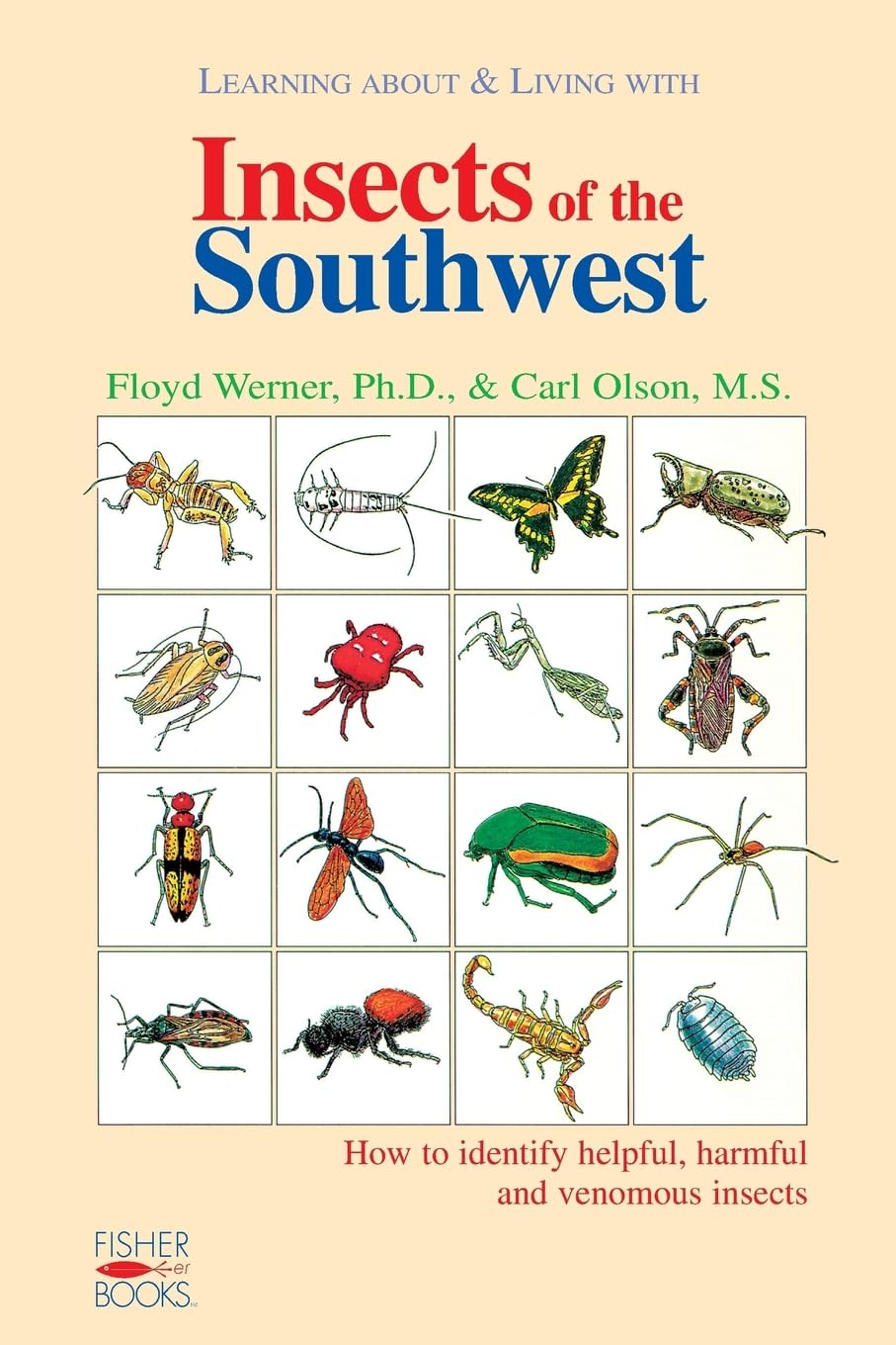 Insects of the Southwest: How to Identify Helpful, Harmful, and Venomous Insects baixar livro de graça