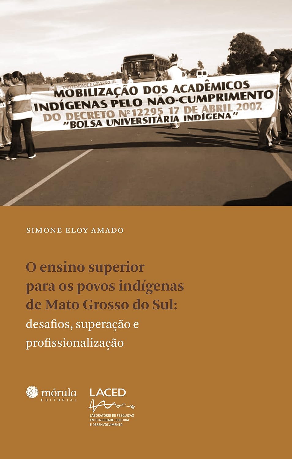 Ensino superior para os povos indígenas de Mato Grosso do Sul: desafios, superação e profissionalização baixar livro de graça