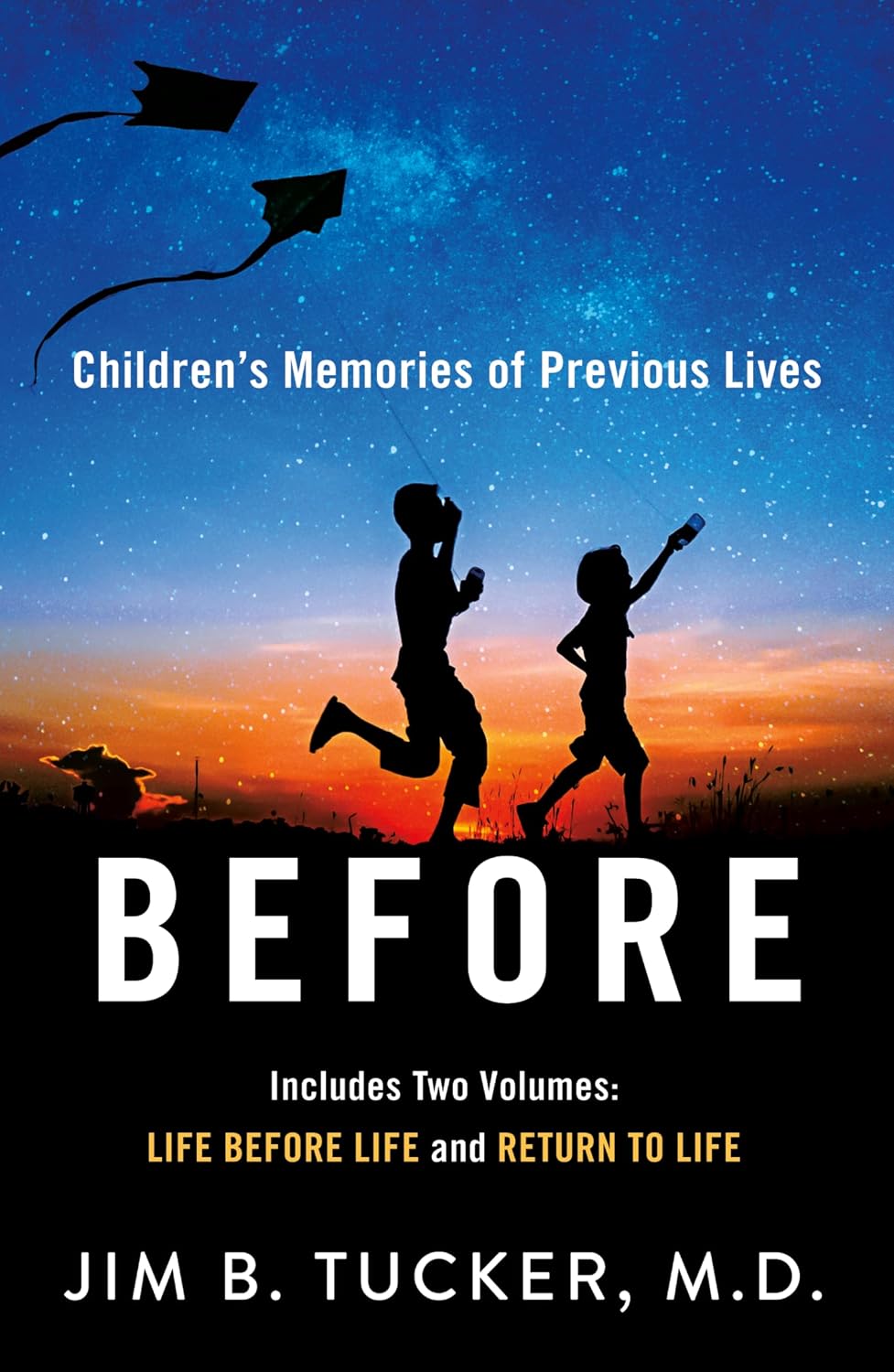 Before: Children's Memories of Previous Lives baixar livro de graça