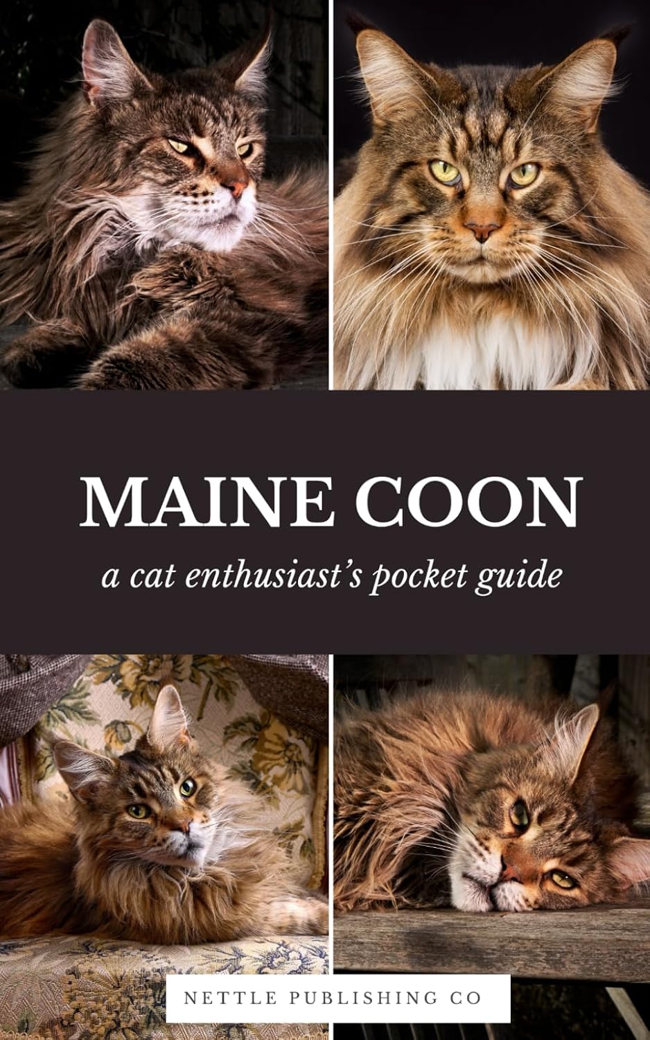 ler totalmente Maine Coon Cats | A Complete Pocket Guide Book: Breed-Specific Care Handbook With Pet Passport with Records Logbook