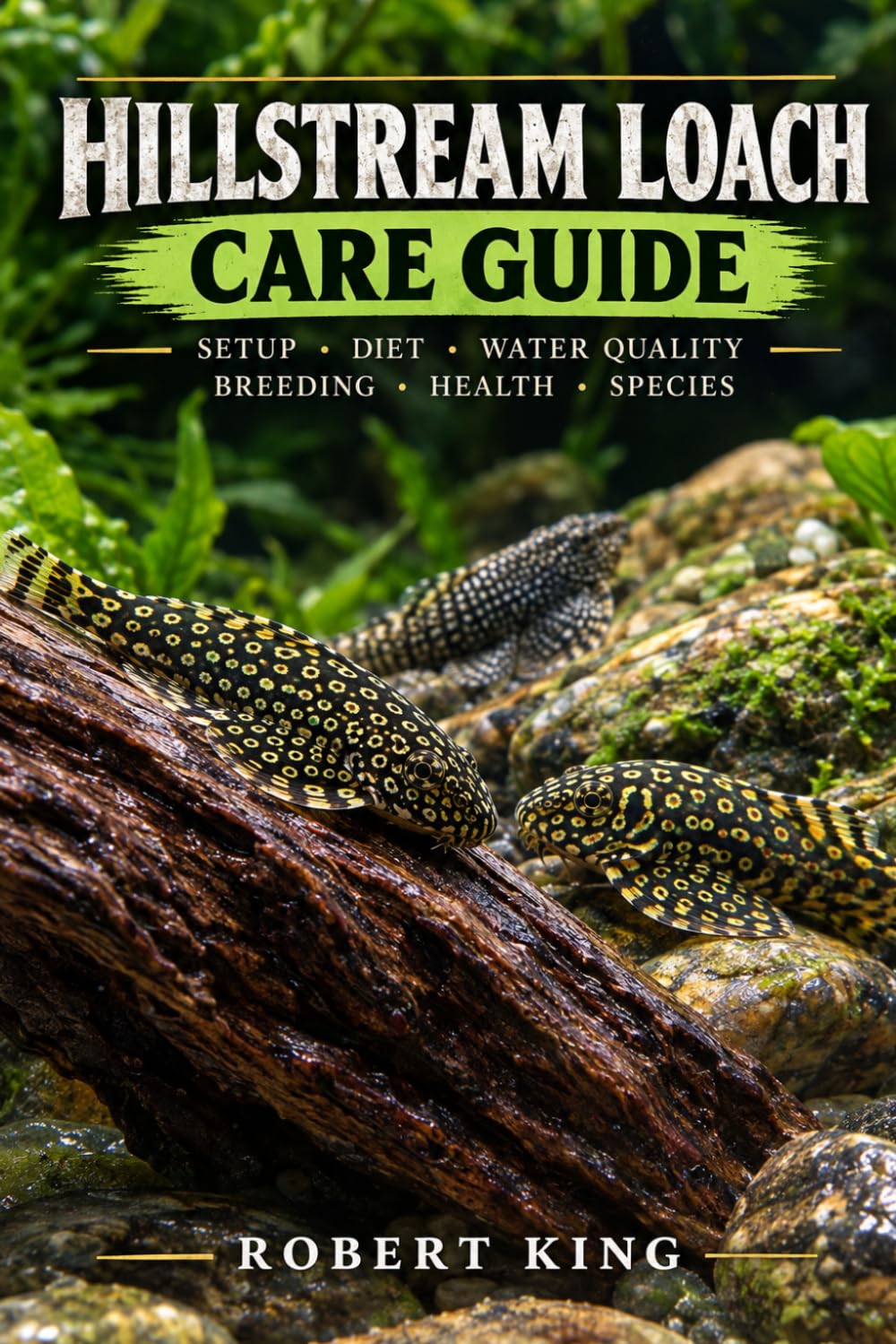 capítulo por capítulo baixar Hillstream Loach Care Guide