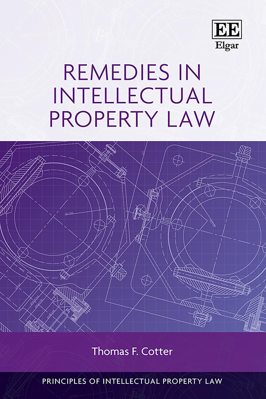 ler totalmente Remedies in Intellectual Property Law