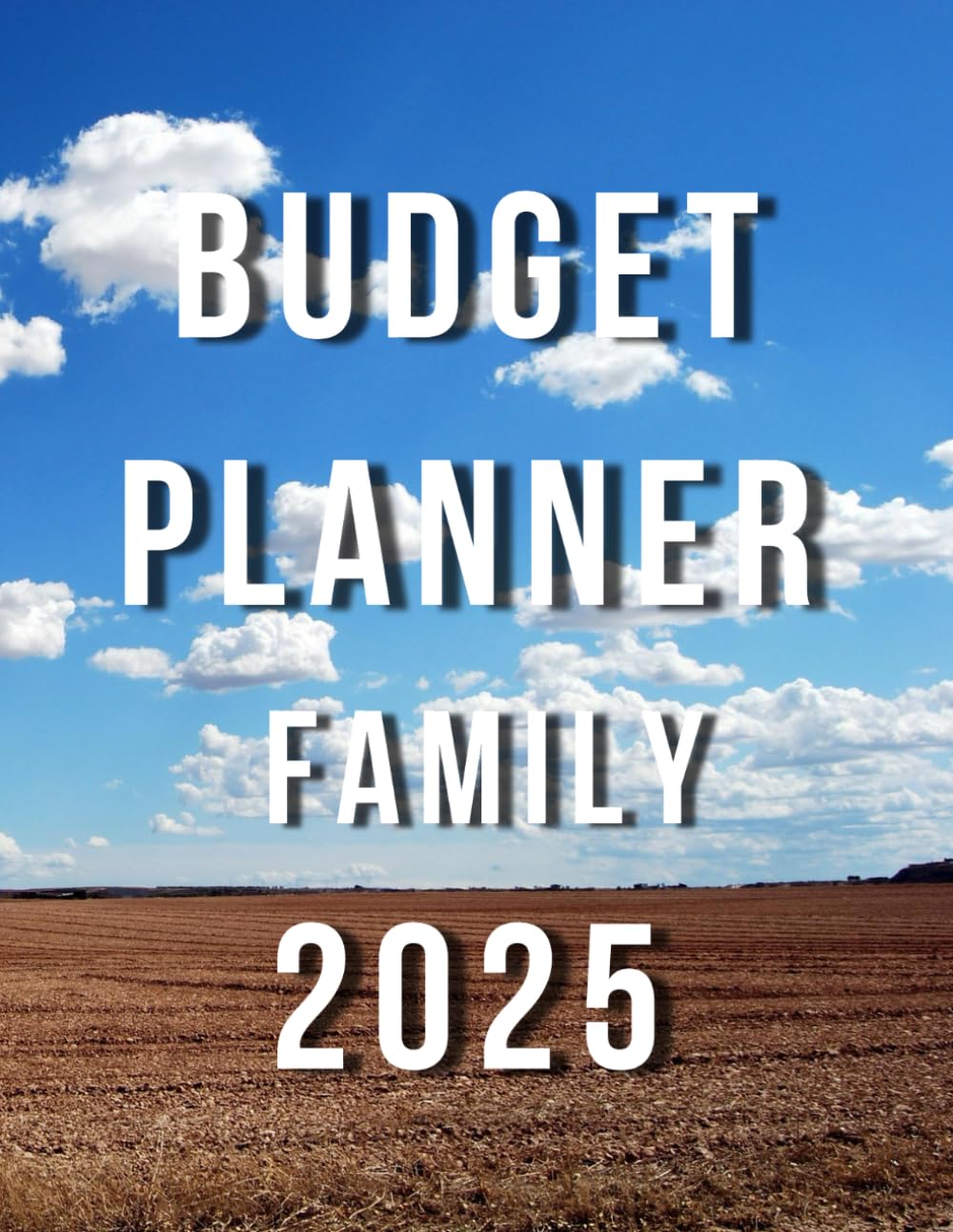 ler totalmente Budget Planner Family2025: Financial Budgeting Expense Tracker/From January To December 2025 /