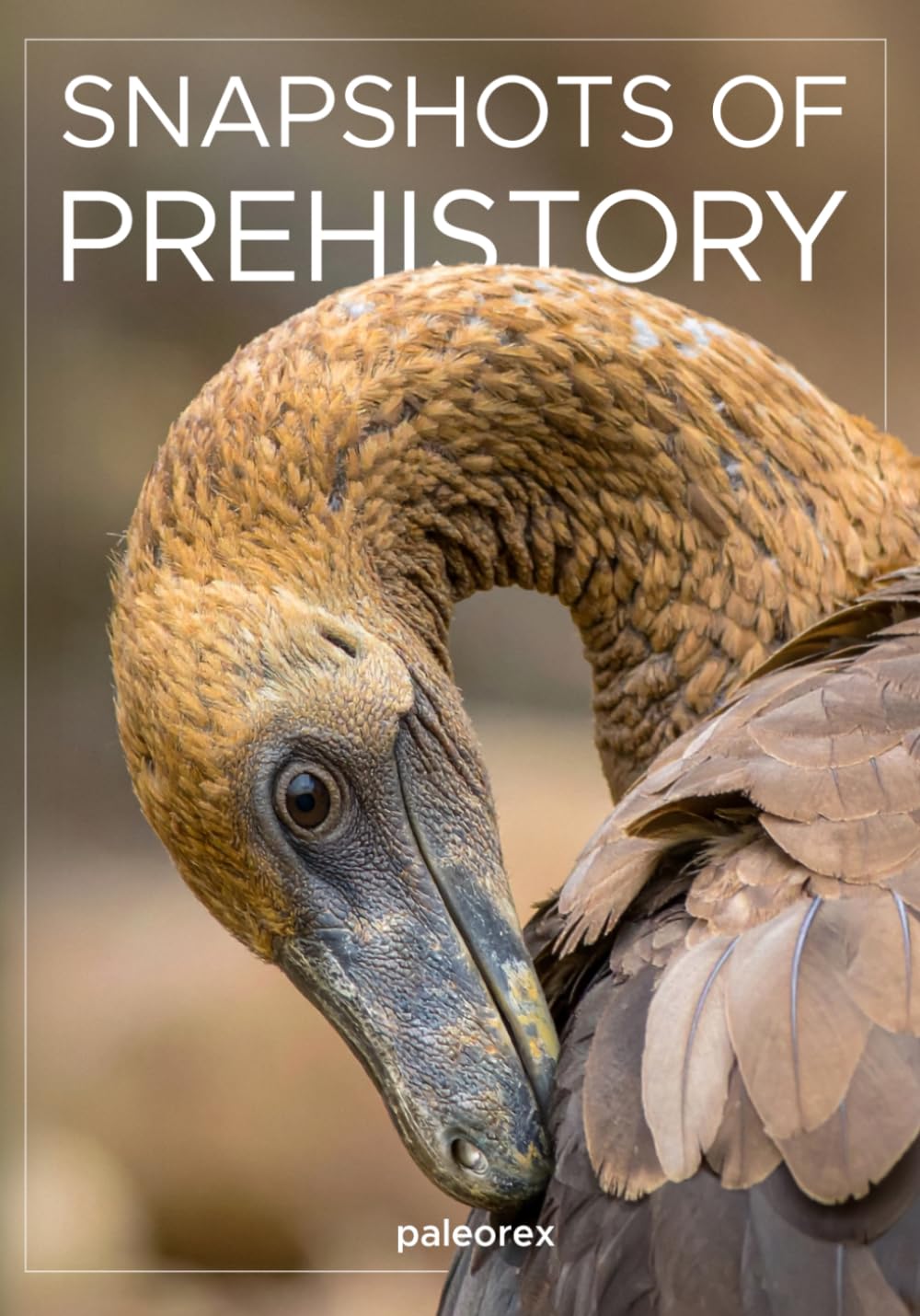 Snapshots of Prehistory baixar o livro de graça