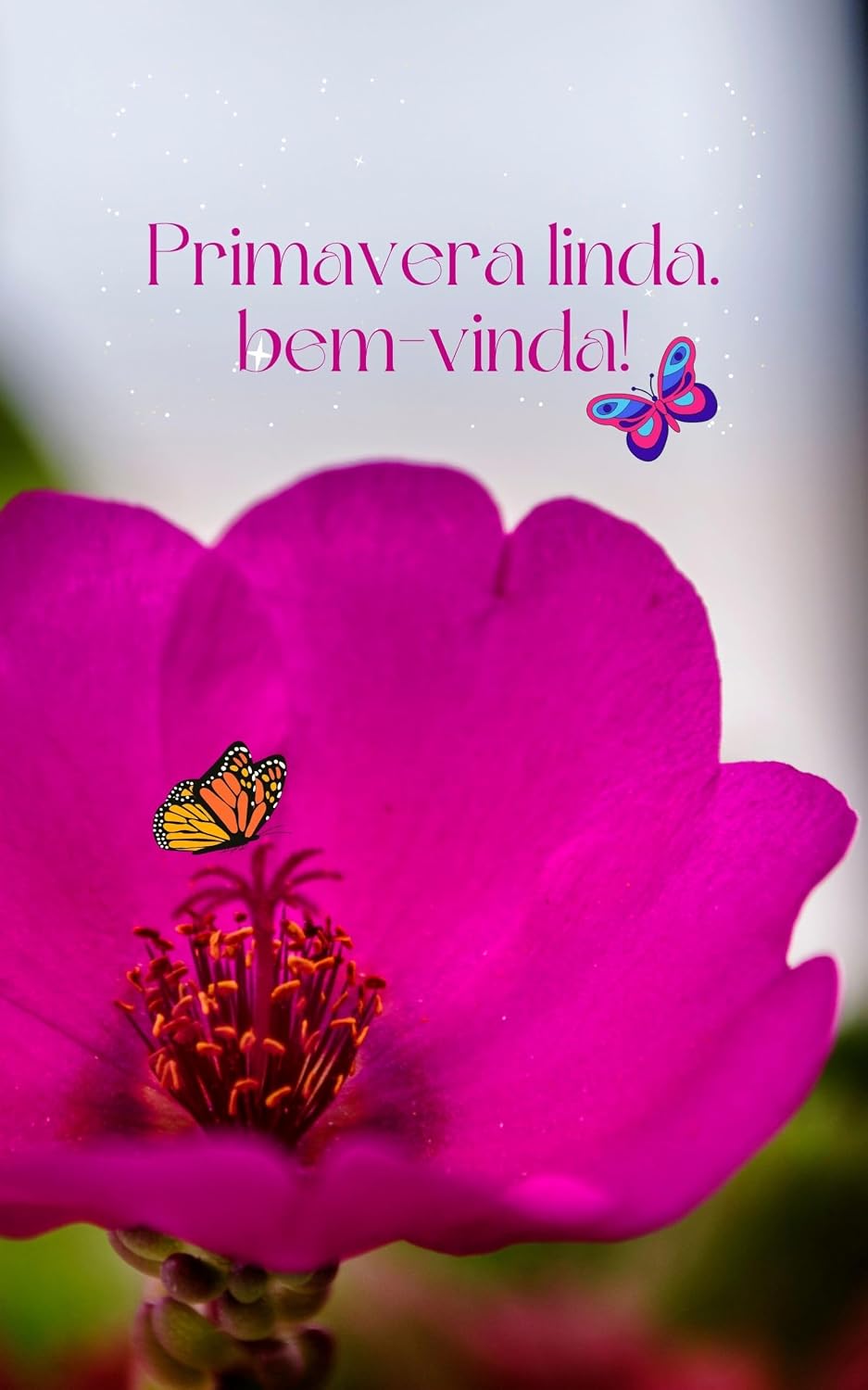 Primavera Linda, Bem-vinda!: Poemas e Reflexões para Renascer a Cada Estação baixar livro de graça