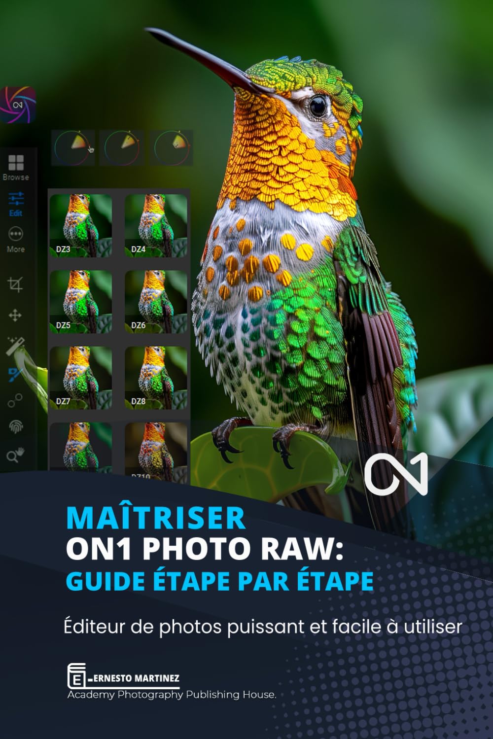 capítulo por capítulo baixar Maîtrisé On1 Photo RAW: Éditeur de photos puissant et facile à utiliser
