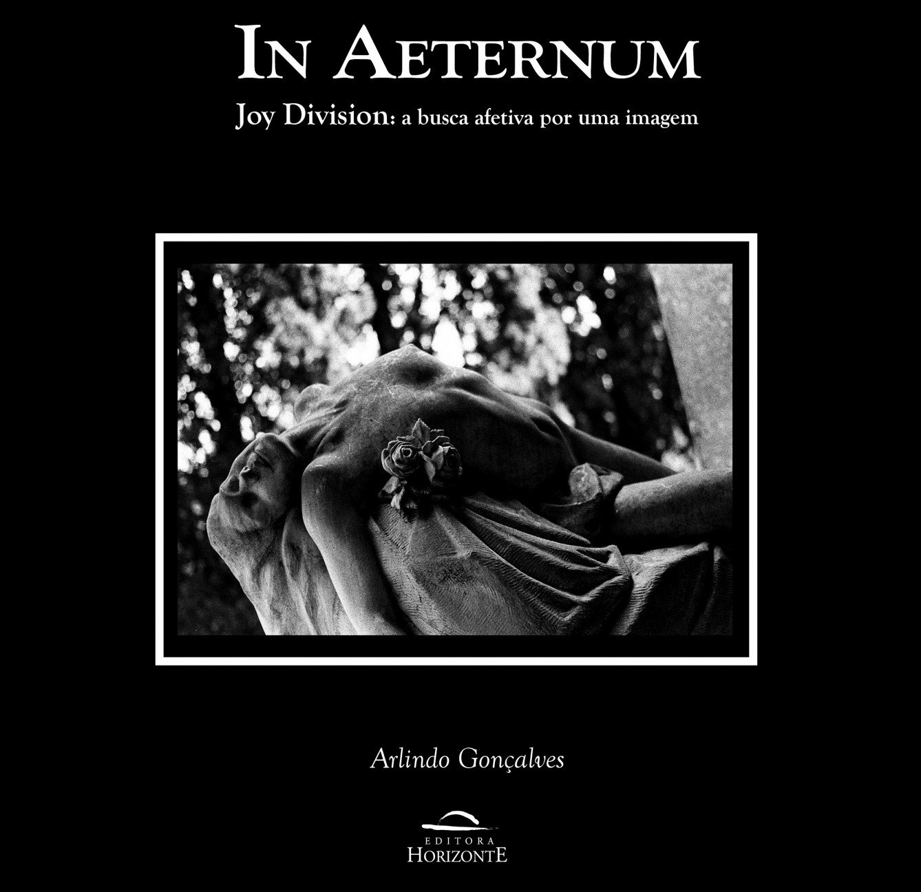 In Aeternum: Joy Division: a Busca Afetiva por uma Imagem baixar o livro de graça