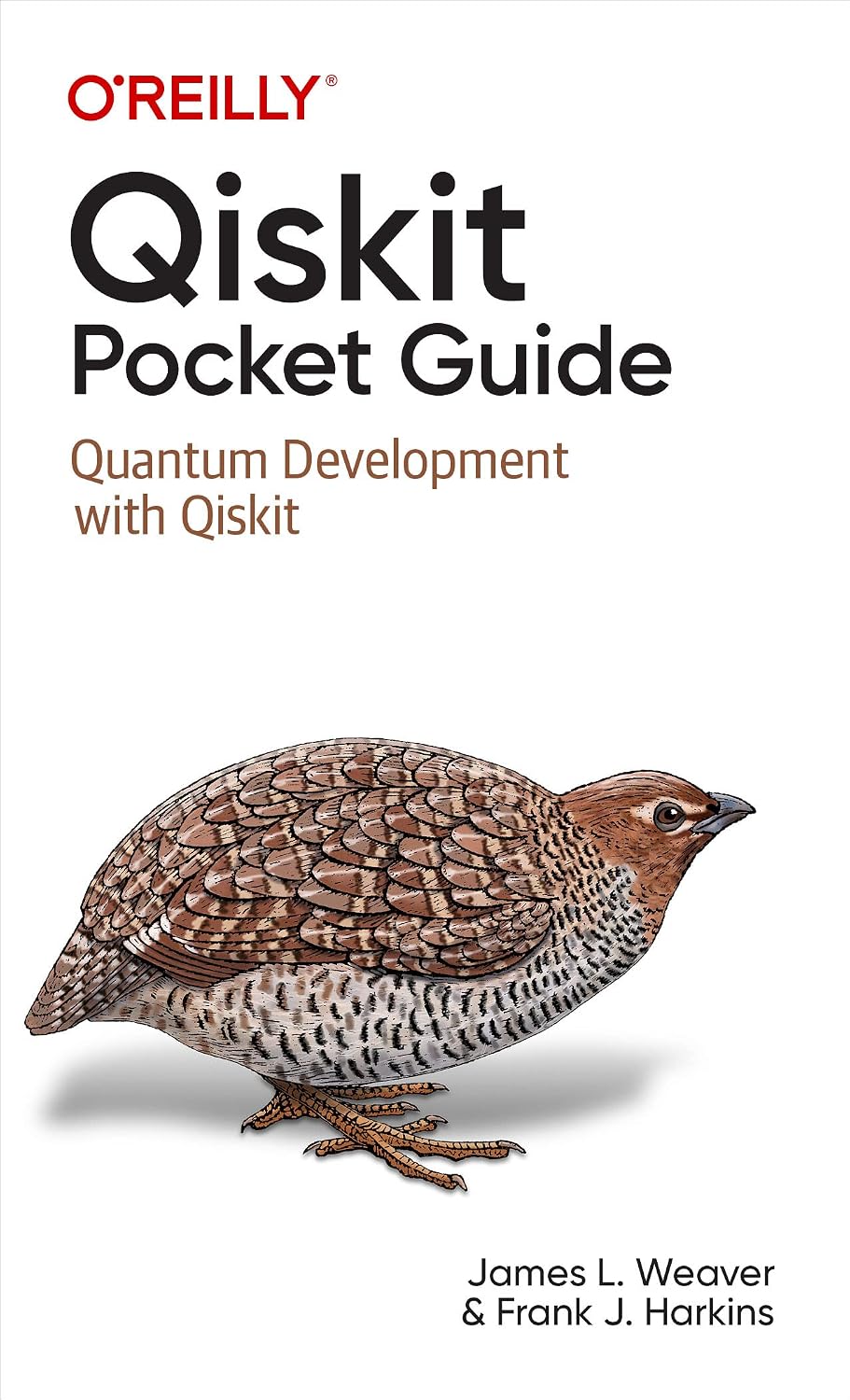 Qiskit Pocket Guide: Quantum Development with Qiskit (English Edition) baixar livro de graça