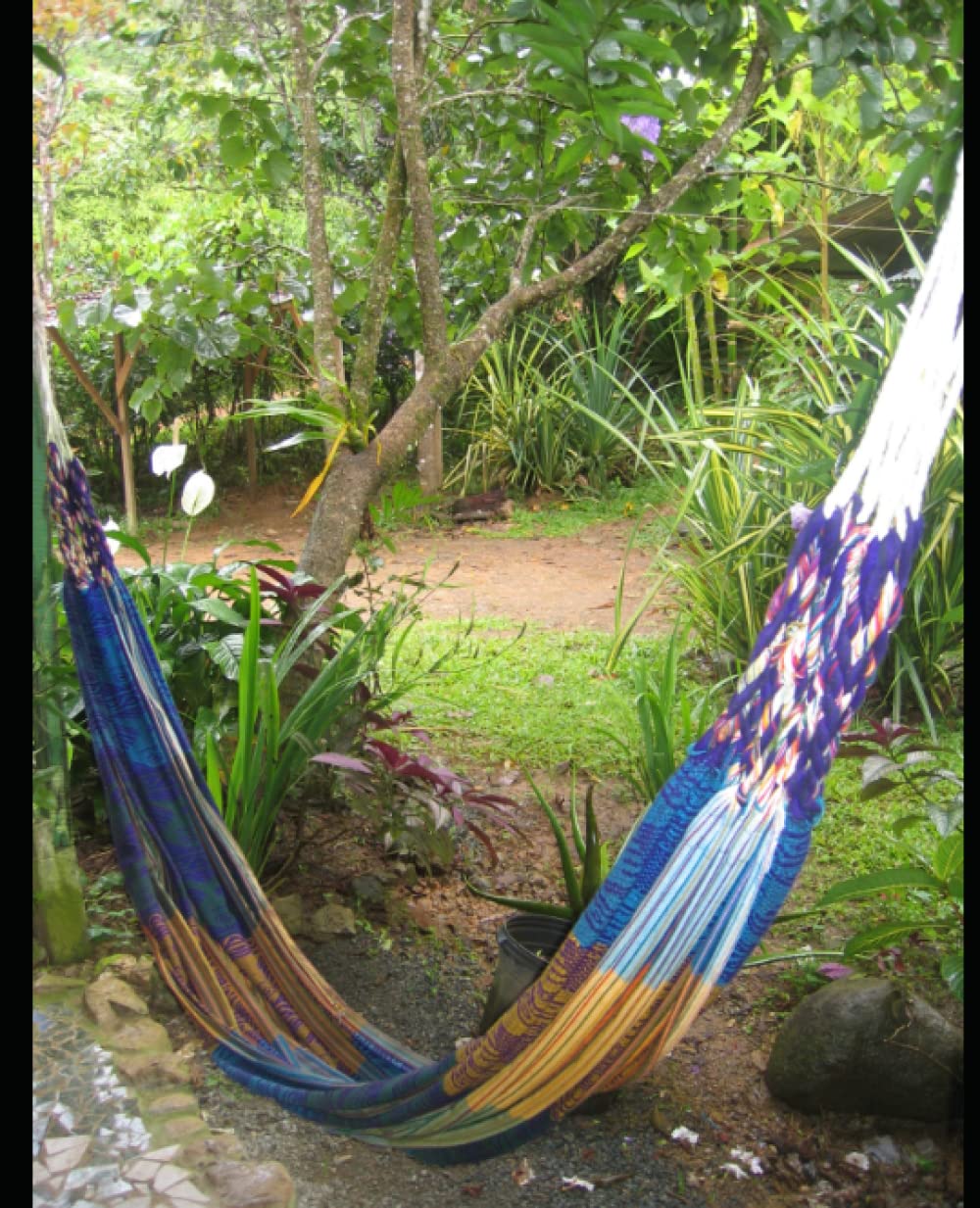 Hammock Notebook: Symbol of Summer Vacation and Relaxation baixar o livro de graça