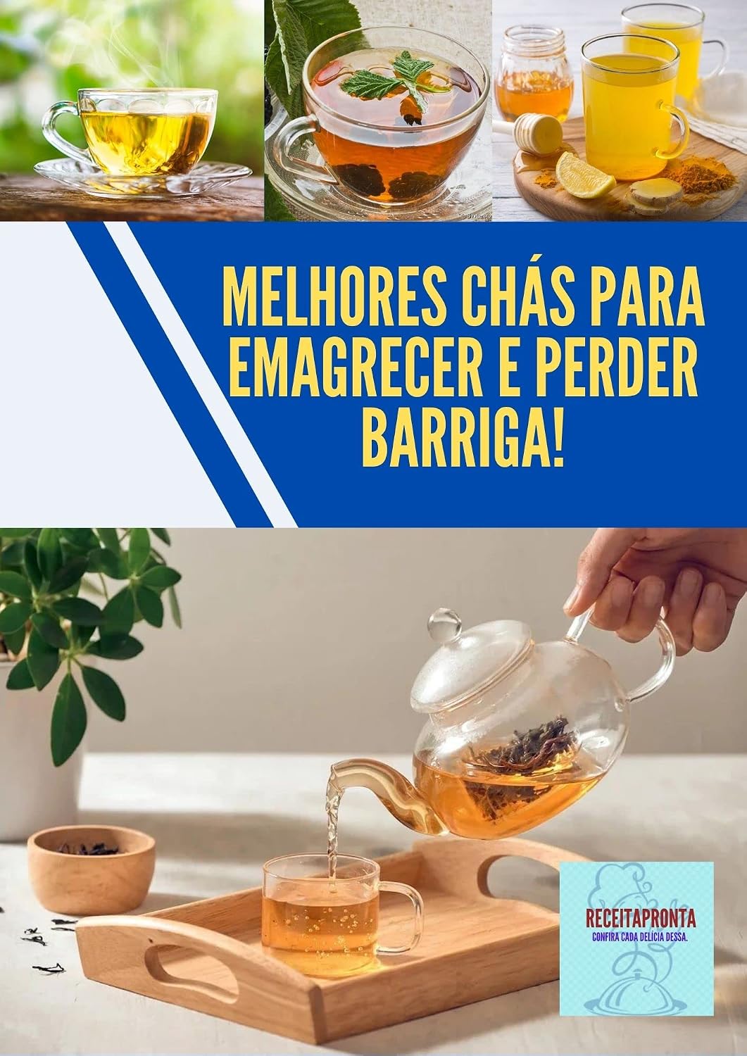 Melhores chás para emagrecer e perder barriga: Receitas saúdavel baixar livro de graça