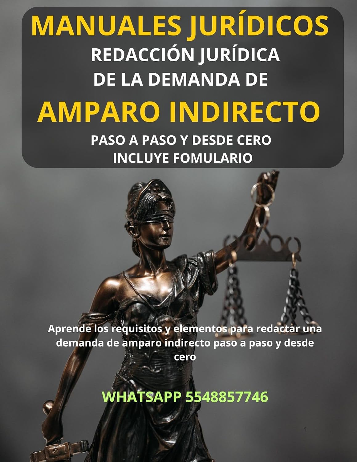 Manual de redacción de la Demanda de Amparo Indirecto: Aprende a redactar una demanda de amparo indirecto paso a paso y desde cero. (Spanish Edition) baixar livro de graça