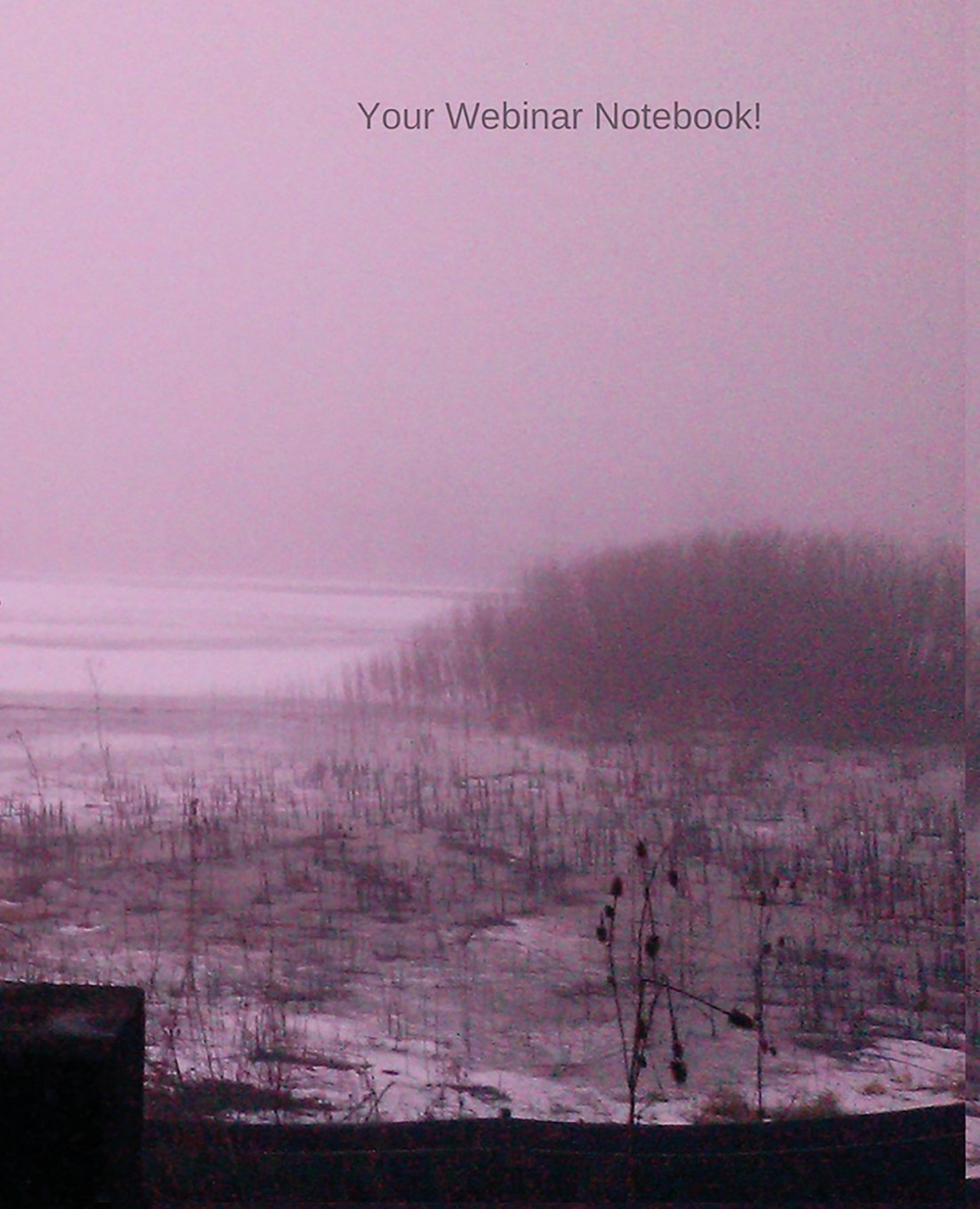 ler totalmente Your Webinar Notebook!: The Perfect Webinar Journal
