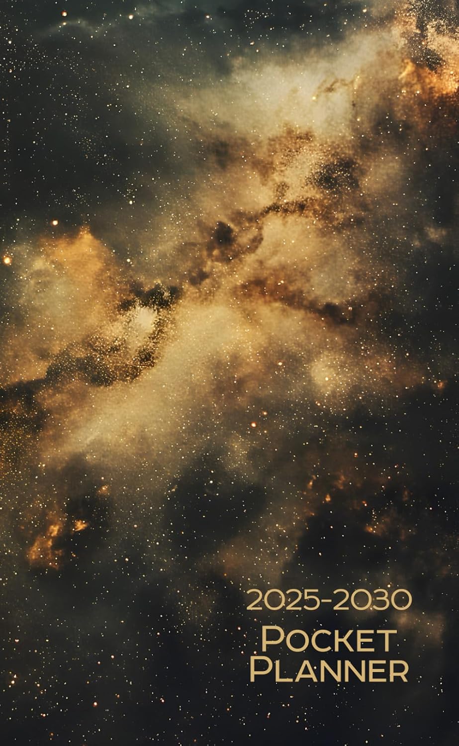 pocket planner 2025-2030: Small Size 6-Year from January 2025 to December 2030 baixar o livro de graça