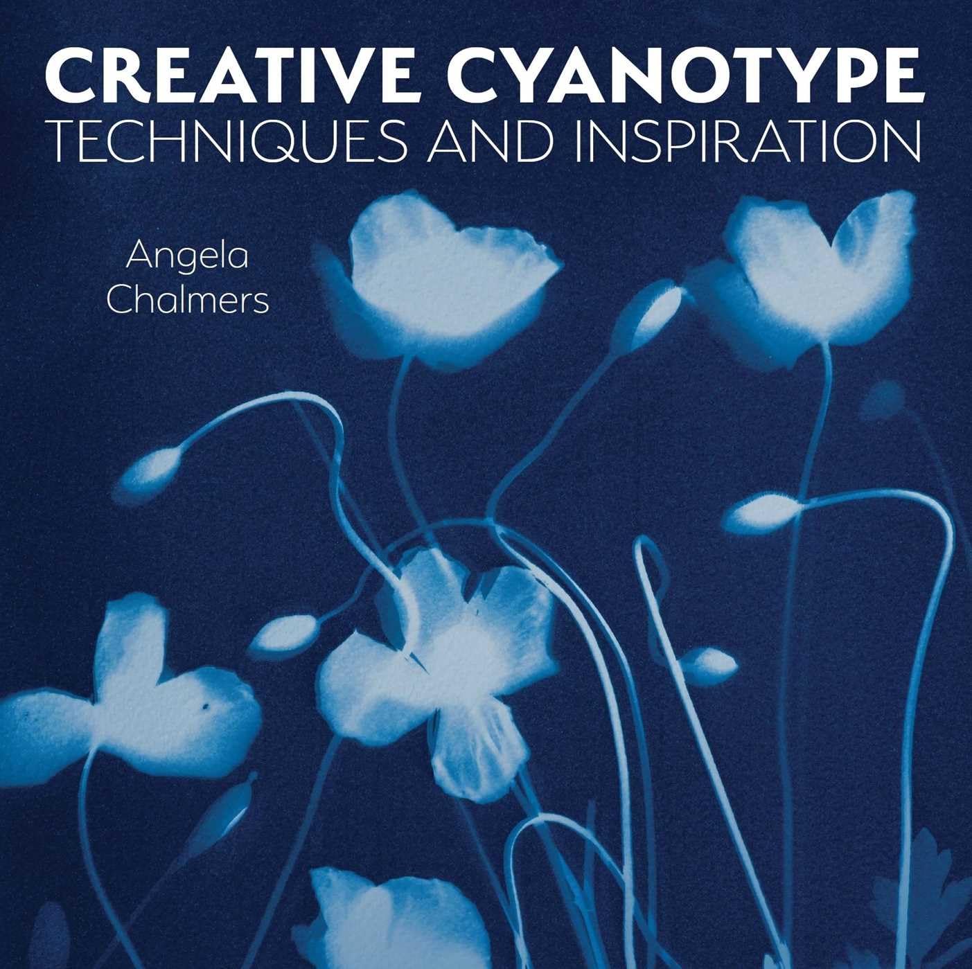 ler totalmente Creative Cyanotype: Techniques and Inspiration