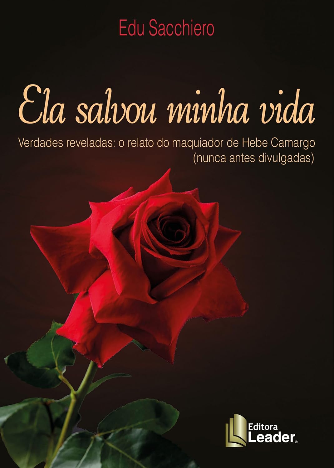 Ela Salvou Minha Vida baixar o livro de graça