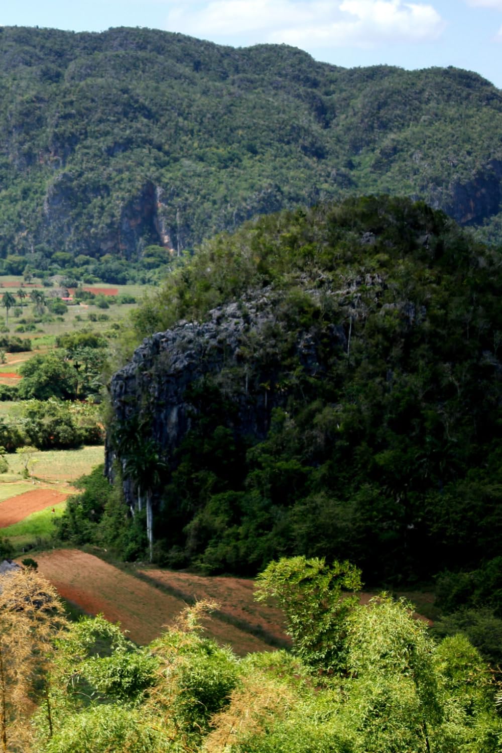 Libreta valle natural entre montañas: Cuaderno con líneas para diario personal, notas creativas, journaling y regalo para amantes de la naturaleza (Libretas de ciudades y paisajes) (Spanish Edition) baixar o livro de graça