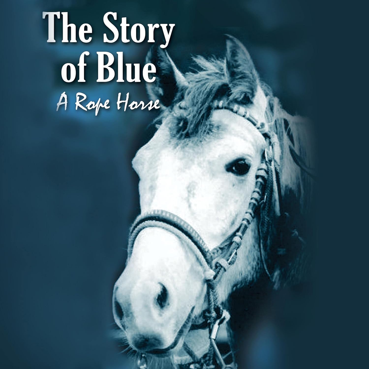 ler totalmente The Story of Blue: A Rope Horse (Healing Shine Trilogy, Book 3)