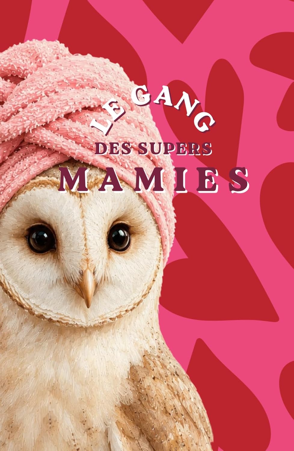 Gang des supers mamies (French Edition)