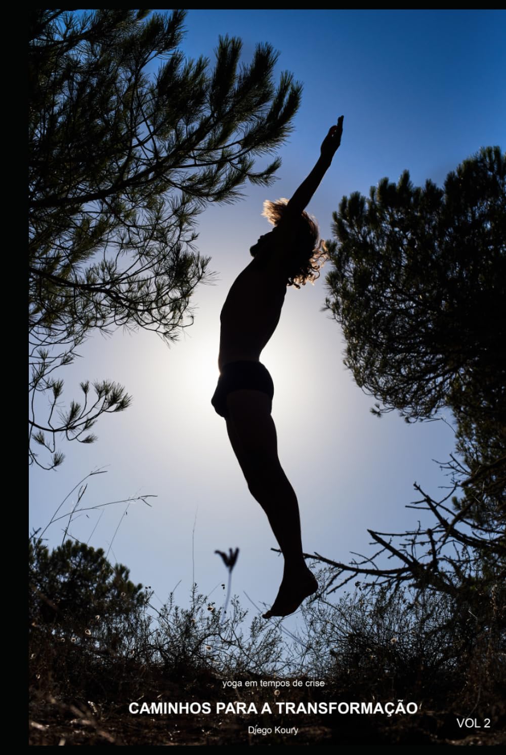 Yoga em Tempos de Crise: Volume 2 Caminhos para a Transformação (Portuguese Edition) baixar o livro de graça