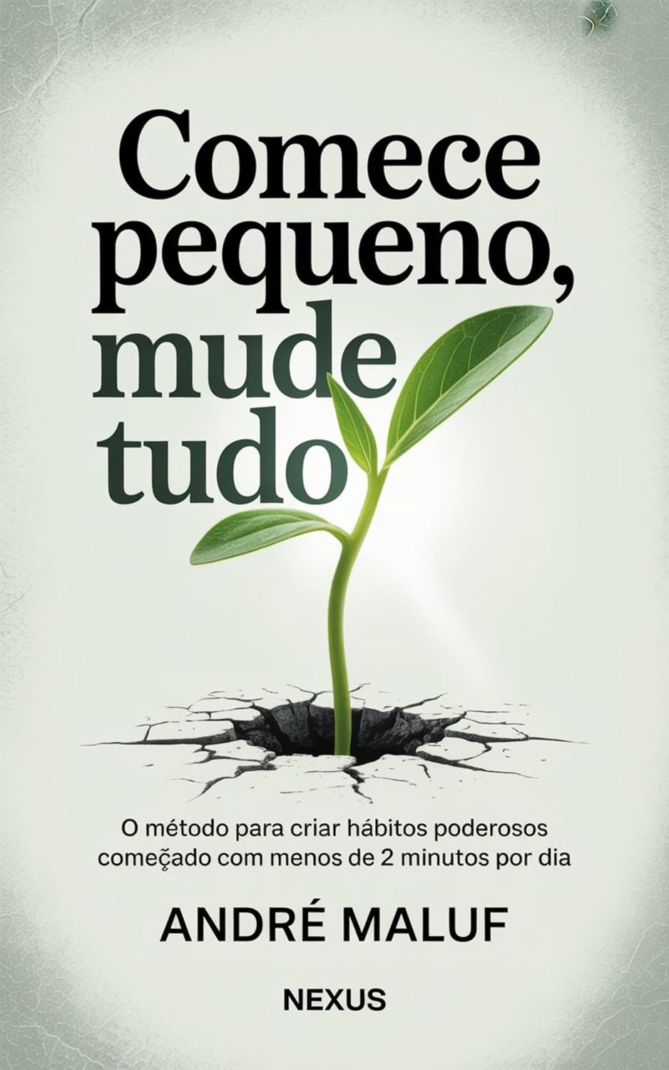 Comece Pequeno, Mude Tudo: O método para criar hábitos poderosos começando com menos de 2 minutos por dia (Hábitos Que Mudam Tudo) baixar o livro de graça