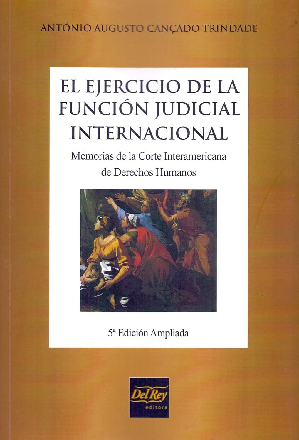 El Ejercicio de la Función Judicial Internacional: Memorias de la Corte Interamericana de Derechos Humanos