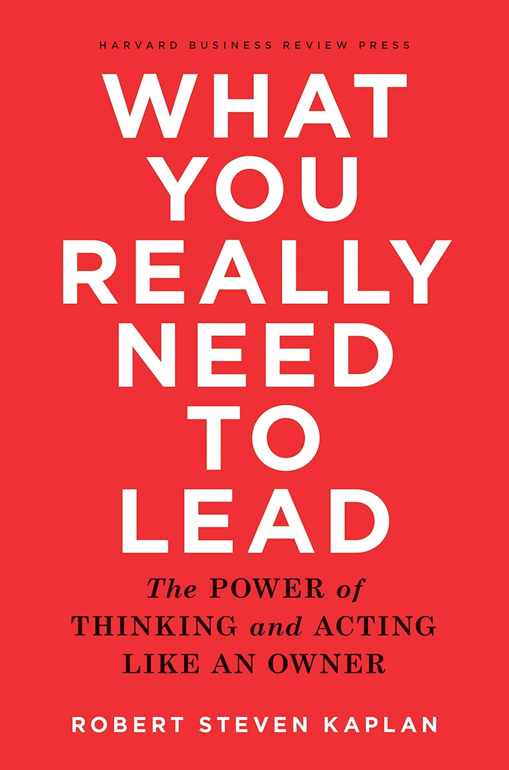 capítulo por capítulo baixar What You Really Need to Lead
