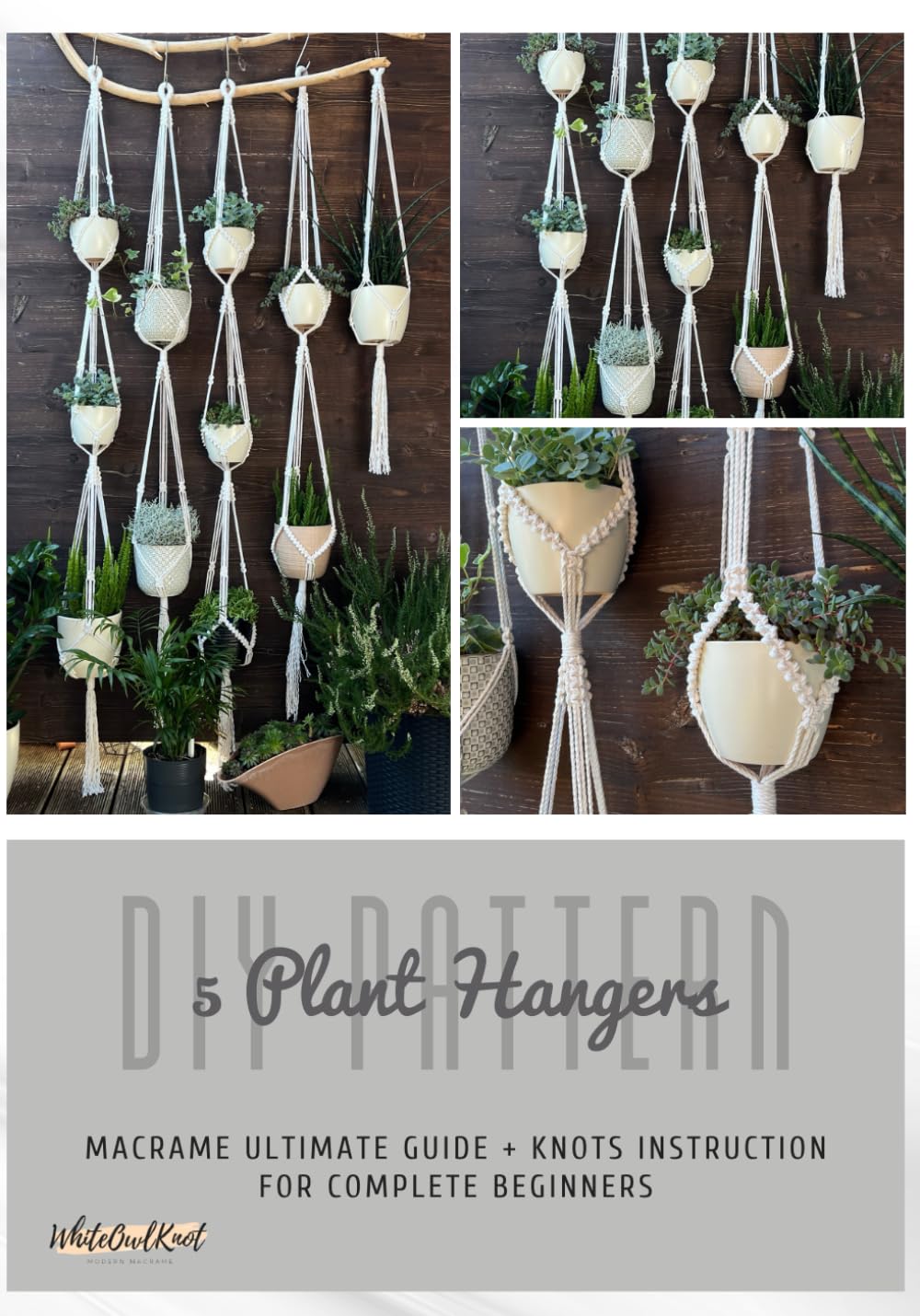 5 Macrame Plant Hangers: Beginner's How-To eBook baixar livro de graça