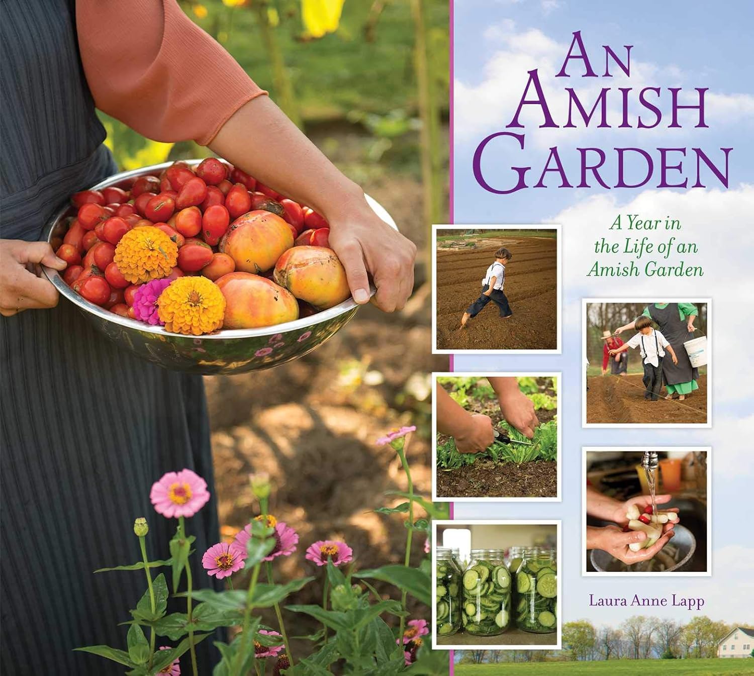 ler totalmente Amish Garden: A Year In The Life Of An Amish Garden (English Edition)