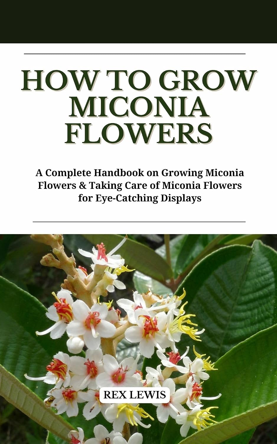 How to Grow Miconia Flowers: A Complete Handbook on Growing Miconia Flowers & Taking Care of Miconia Flowers for Eye-Catching Displays (English Edition) baixar livro de graça