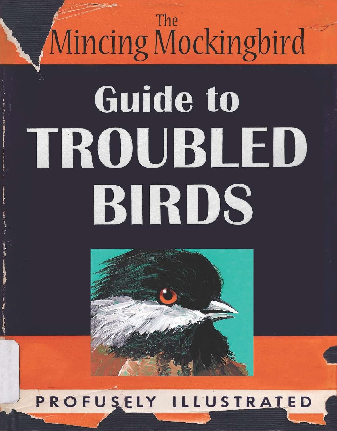 Guide to Troubled Birds: An Uuthoritative Illustrated Compendium to Be Consulted in the Event of an Infant of Small Child Being Torn Apart by a Murder of Crows baixar livro de graça