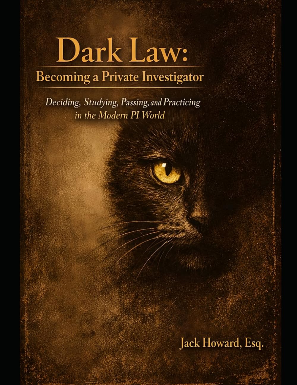 Dark Law: Becoming a Private Investigator: — Deciding, Studying, Passing, and Practicing (Dark Law: Evil Has a Legal Mind) baixar livro de graça