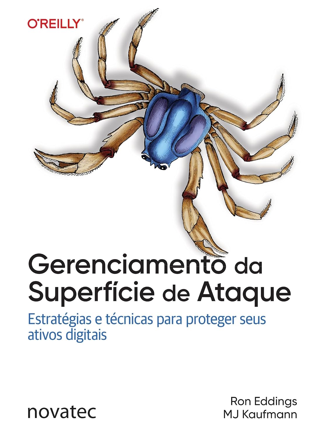 Gerenciamento da Superfície de Ataque: Estratégias e técnicas para proteger seus ativos digitais
