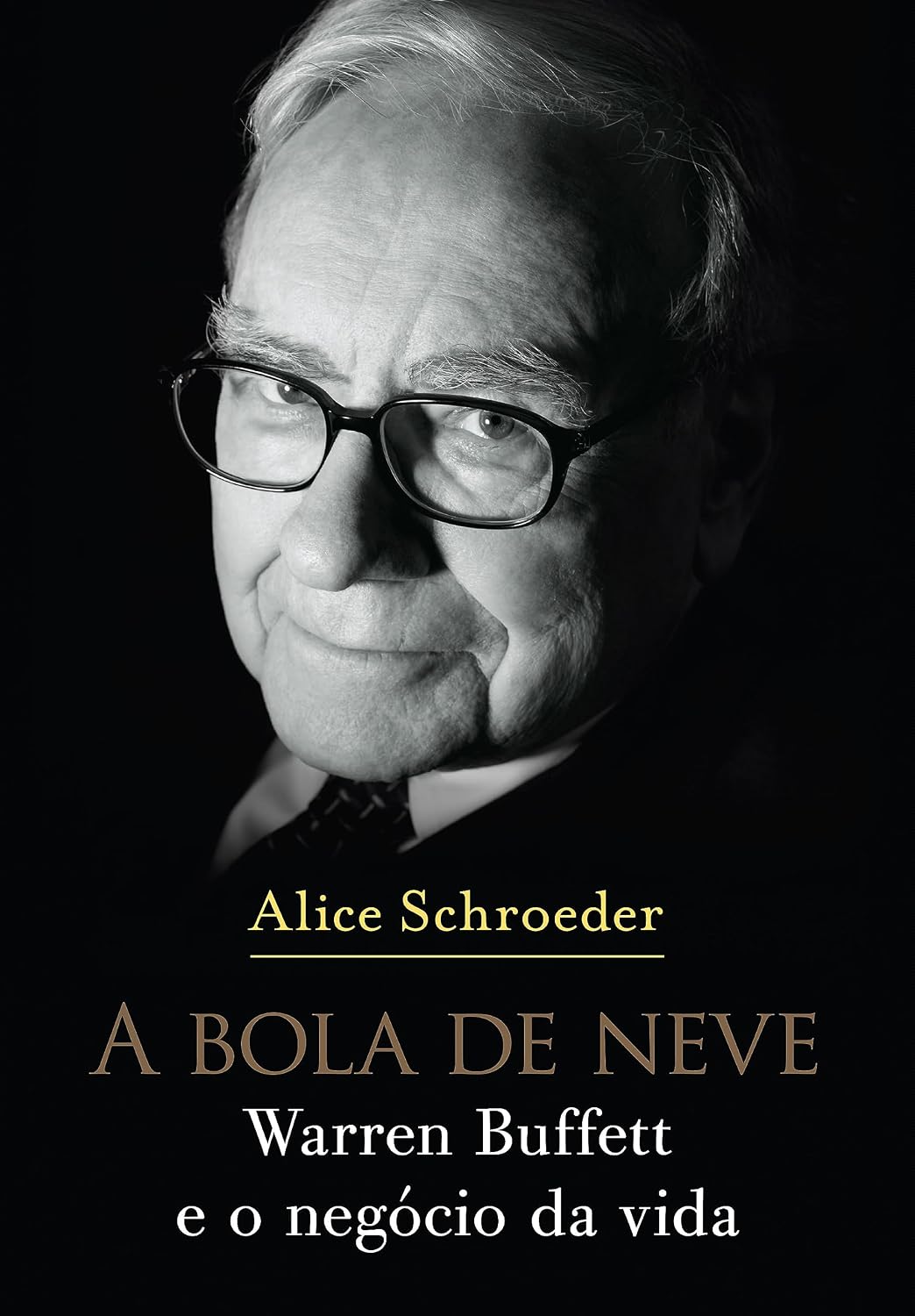 A bola de neve: Warren Buffett e o negócio da vida baixar livro de graça