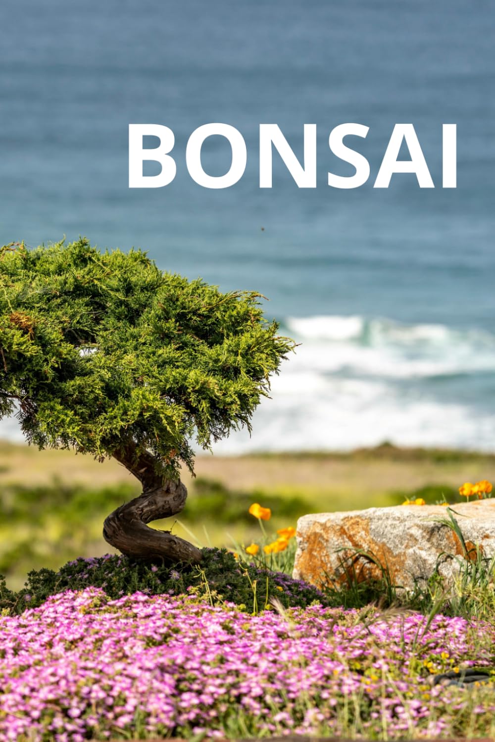 Bonsai: Bonsai Tree Care Journal baixar livro de graça