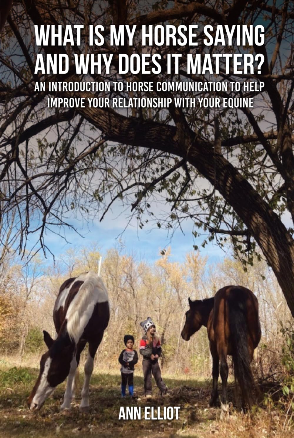 What Is My Horse Saying and Why Does It Matter?: An Introduction to Horse Communication to help Improve your Relationship with your Equine baixar o livro de graça