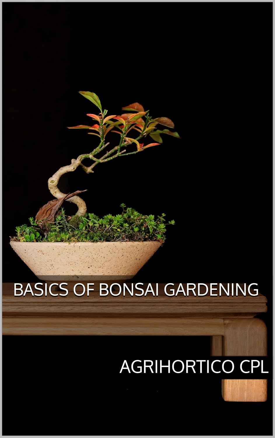 Basics of Bonsai Gardening (Presentations on Home Gardening Book 14) (English Edition) baixar o livro de graça