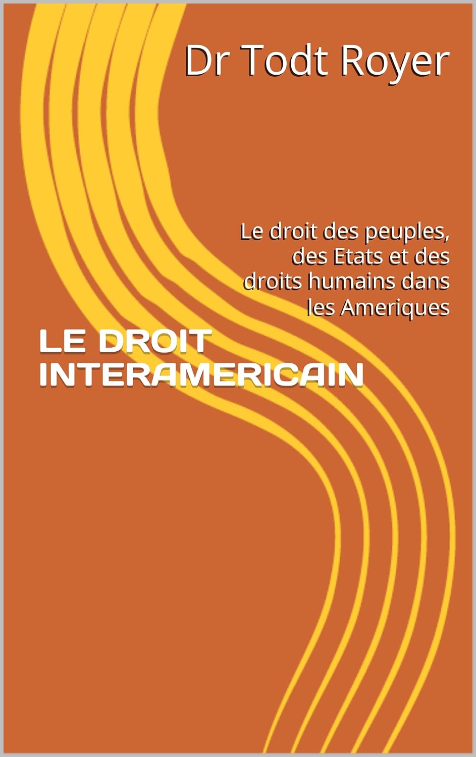 ler totalmente LE DROIT INTERAMERICAIN: Le droit des peuples, des Etats et des droits humains dans les Ameriques (French Edition)