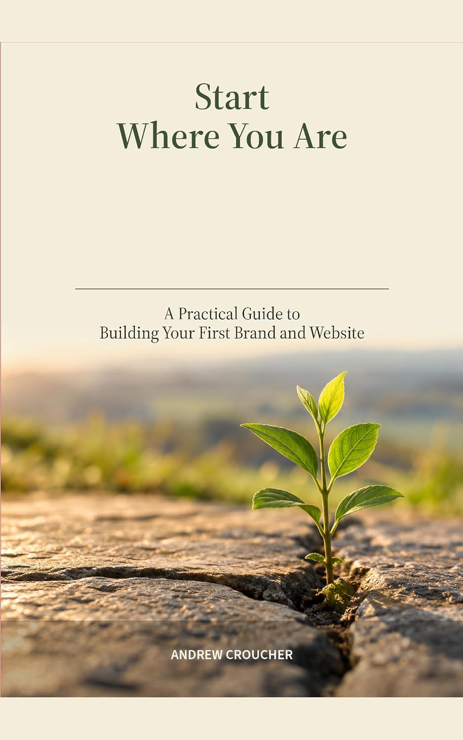 ler totalmente Start Where You Are: A Practical Guide to Building Your First Brand and Website (English Edition)