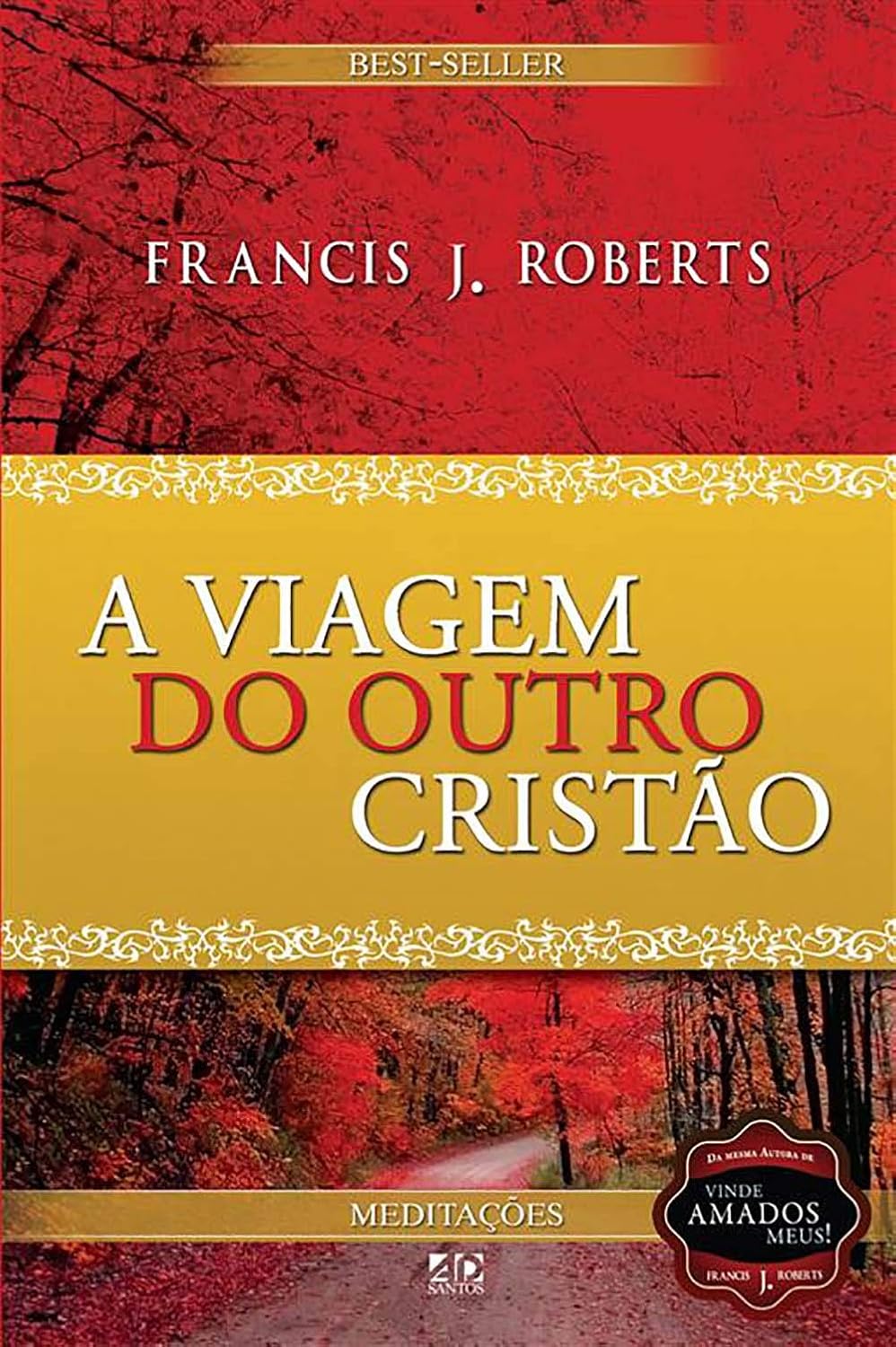 A Viagem do Outro Cristão baixar livro de graça