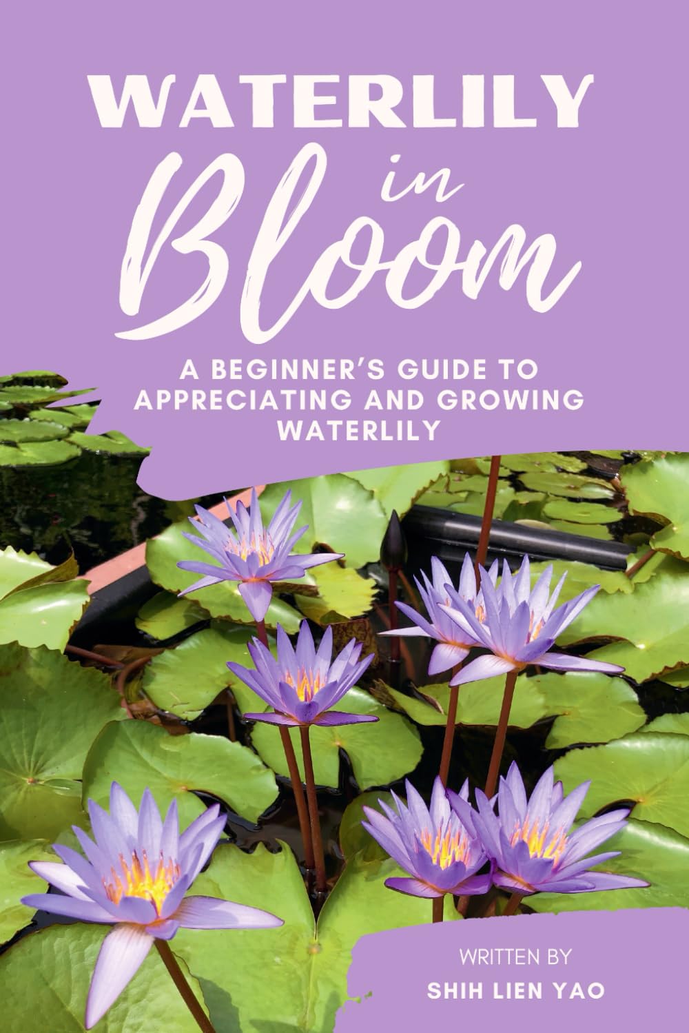 Waterlily in Bloom: A Beginner's Guide To Appreciating And Growing Waterlily (Growing Healthy Aquatic Plants) baixar livro de graça