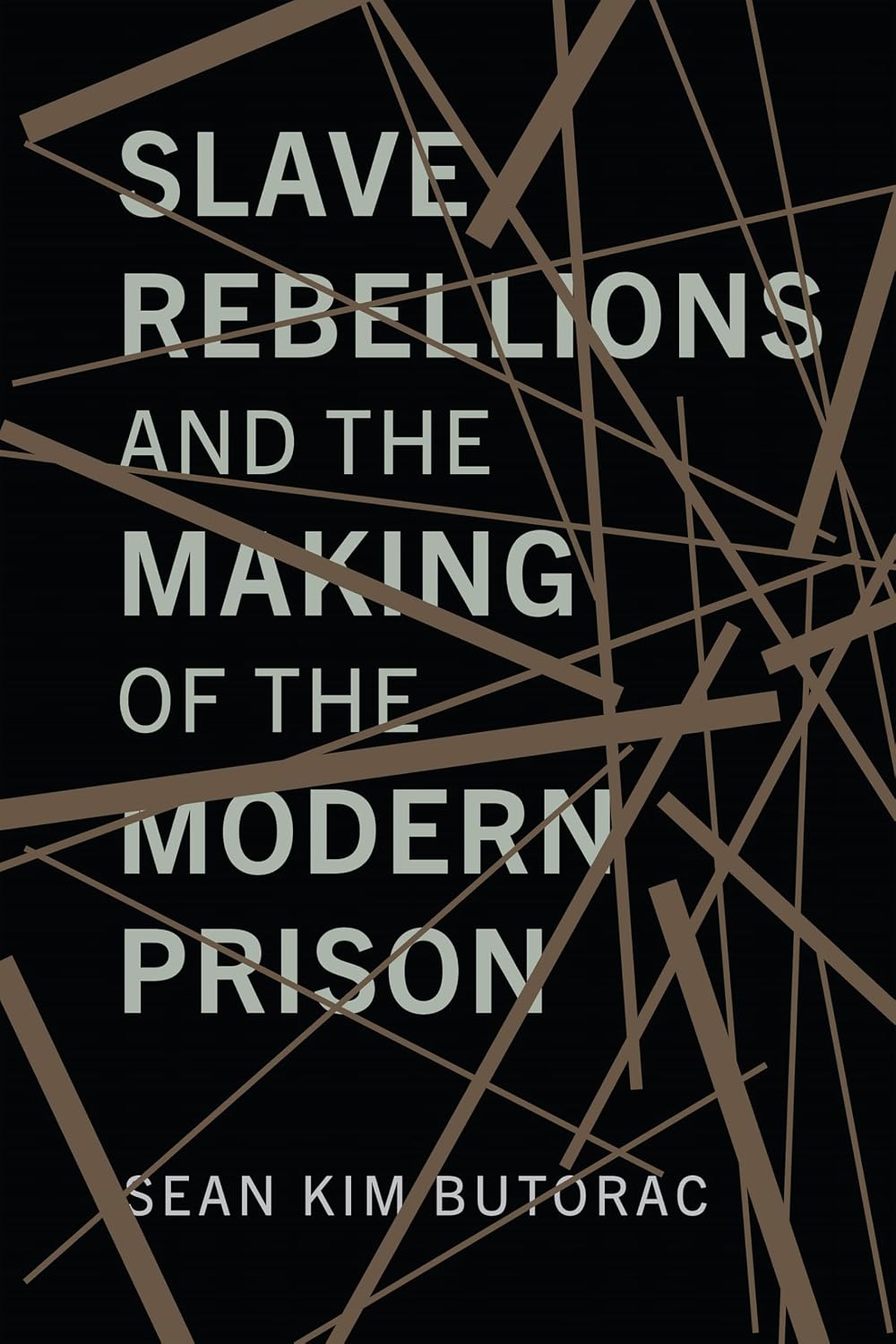 capítulo por capítulo baixar Slave Rebellions and the Making of the Modern Prison (American Governance: Politics, Policy, and Public Law) (English Edition)