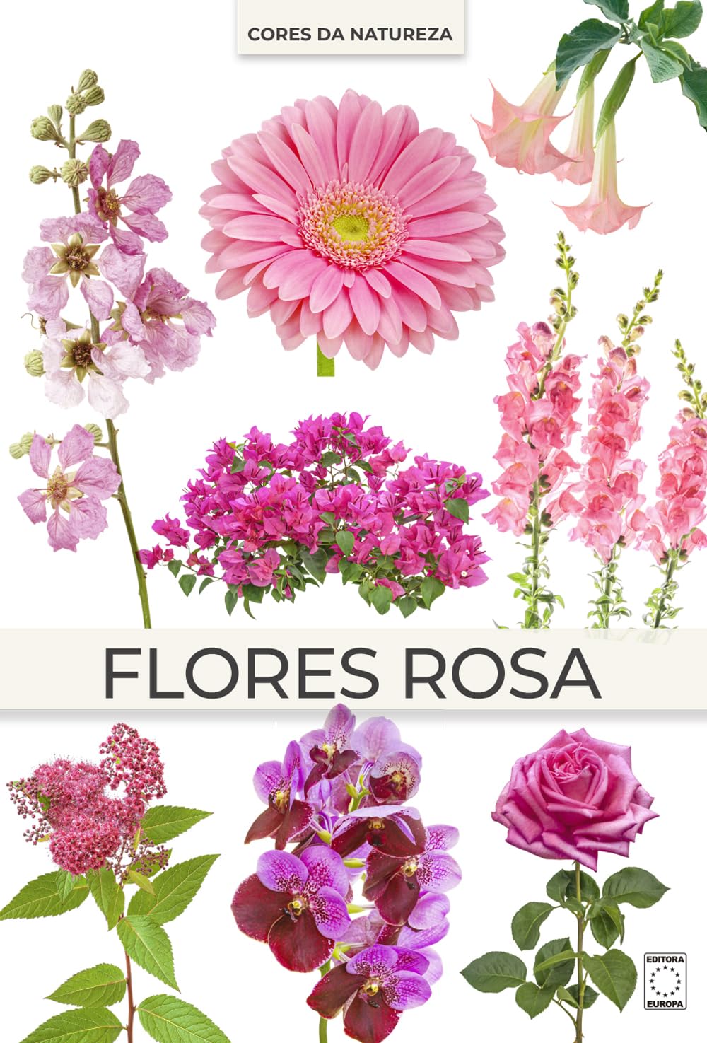 Coleção Cores da Natureza - Flores Rosas baixar livro de graça